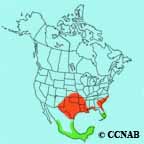 Painted Bunting range map