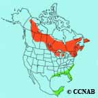 Palm Warbler range map