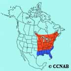 Pine Warbler range map