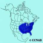 Red-bellied Woodpecker range map