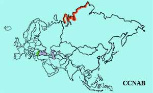 Red-breasted Goose range map