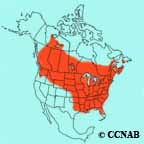 Red-eyed Vireo range map