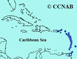 Red-footed Booby range map