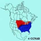 Red-headed Woodpecker range map