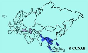 Red Junglefowl range map