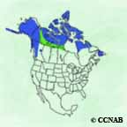 Rock Ptarmigan range map