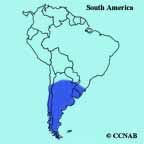 Rosy-billed Pochard range map