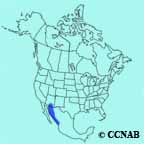 Rufous-winged Sparrow range map