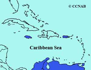 Saffron Finch range map