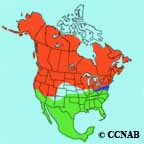 Savannah Sparrow (red) range map