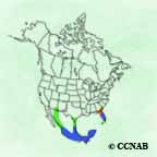Short-tailed Hawk range map