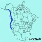 Steller's Jay (Coastal) range map