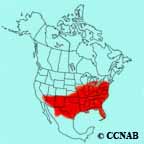 Summer Tanager range map