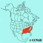 Swainson's Warbler range map