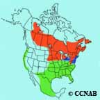 Swamp Sparrow range map