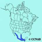 Tropical Parula range map