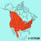 Warbling Vireo range map