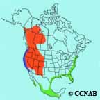 Western Tanager range map
