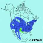 White-breasted Nuthatch range map
