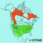 White-crowned Sparrow (taiga) range map