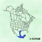 White-tailed Hawk range map