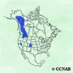 White-tailed Ptarmigan range map