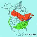 White-throated Sparrow range map