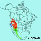 Williamson's Sapsucker range map