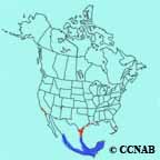 Yellow-green Vireo range map