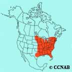 Yellow-throated Vireo range map