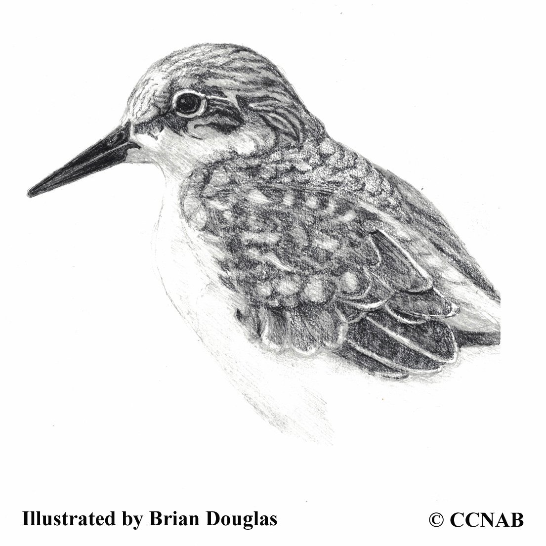 stints