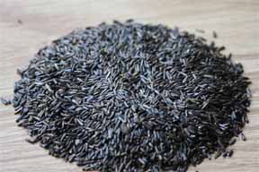 niger seeds