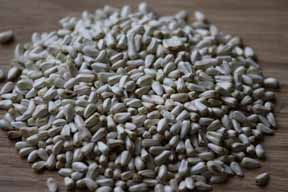 safflower seeds